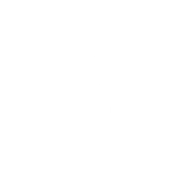 The Iconic Skin
